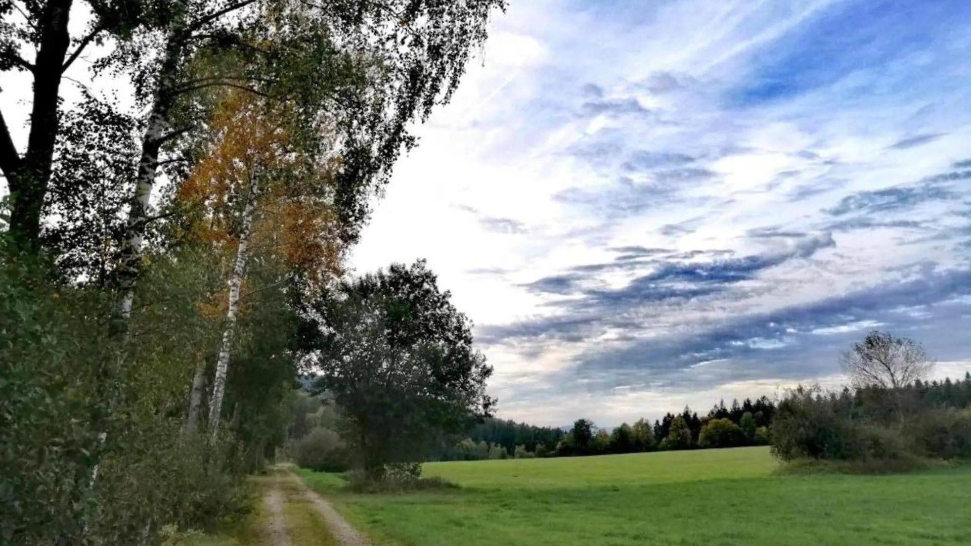 Cozy Apartment in Sonnen Bavaria near Forest 0*,  Deutschland