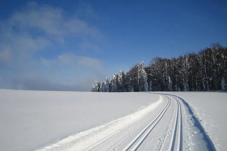 Cozy Apartment In Sonnen Bavaria Near Forest